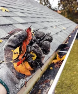 Gutter Cleaning & Washing - Best Pressure Washing Company