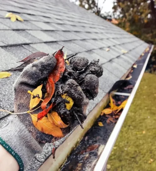 Gutter Cleaning & Washing - Best Pressure Washing Company